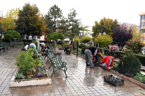 Afyonkarahisar'ın muhtelif bölgelerine 120 bin adet kışlık çiçek dikilecek.