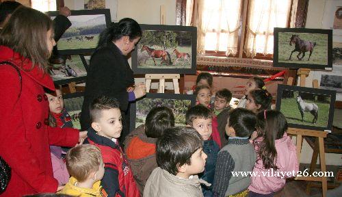 Yılkı atları fotoğraf sergisi