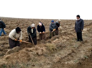 260 kişilik geçici işçi kadrosuna 75 kişi başvurdu