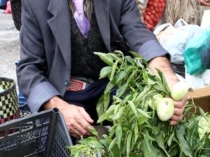 Güney Amerikalı 'pepino' Eskişehir'de ilk mahsulü verdi