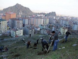 Sarıkız Tepesi'nde ağaçlandırma çalışmalarına başladı