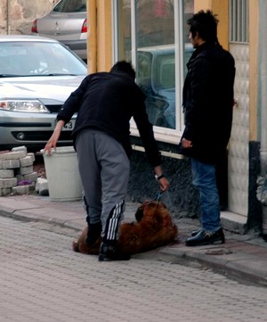 Başıboş köpeğin ısırdığı vatandaş tedavi altına alındı