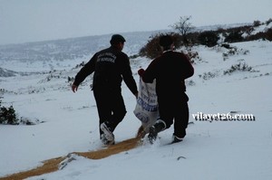 Yaban hayvanları için yem takviyesi yapıldı