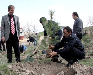 Polis, 3 bin ağaç fidanını toprakla buluşturdu