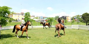 Nilüfer Vadisi 'Atlı Spor Vadisi' oluyor