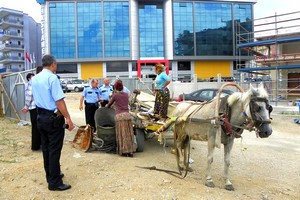 Hırsızlık zanlıları gözaltına alınınca at arabasını polis kullandı