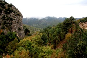 Bursa’nın yeşili büyülüyor