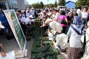 Belediye, kabir ziyaretine gelenlere çiçek dağıttı