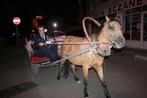 Polisin kullandığı at arabası atın huysuzluğu yüzünden devrildi.