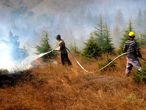 Çay demlemek isteyen çoban, 30 dönüm alanı yaktı