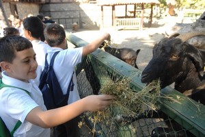 Nesli tükenmekte olan hayvanlar Bursa Zoo'da korumaya alındı