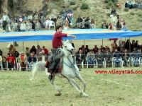 Festivaller, hem ekonomik kazanç sağlıyor