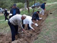 Terminatör böcekler iş başında