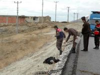 Yol kenarında erkek cesedi bulundu