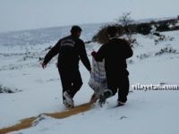 Yaban hayvanları için yem takviyesi yapıldı