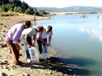 Bursa’da göl ve göletlere balık yavrusu bırakıldı.