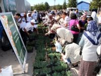 Belediye, kabir ziyaretine gelenlere çiçek dağıttı